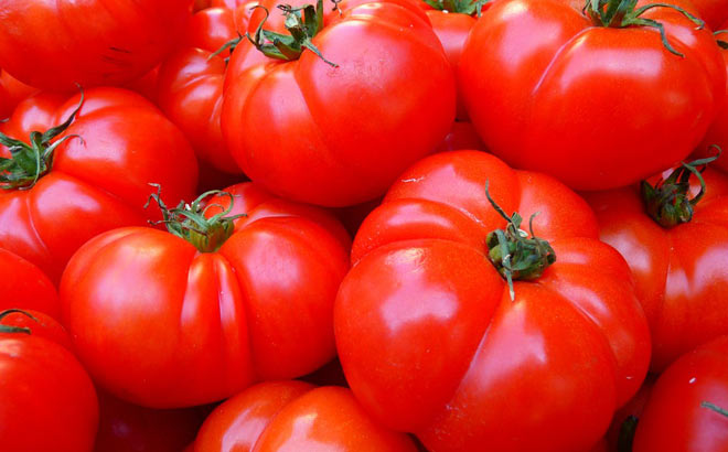 tomate-extremadura