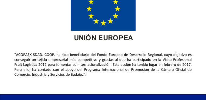 Microsoft Word - Publicidad FEDER web beneficiario_Acopaex.docx