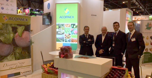 171018_Acopaex_fruit